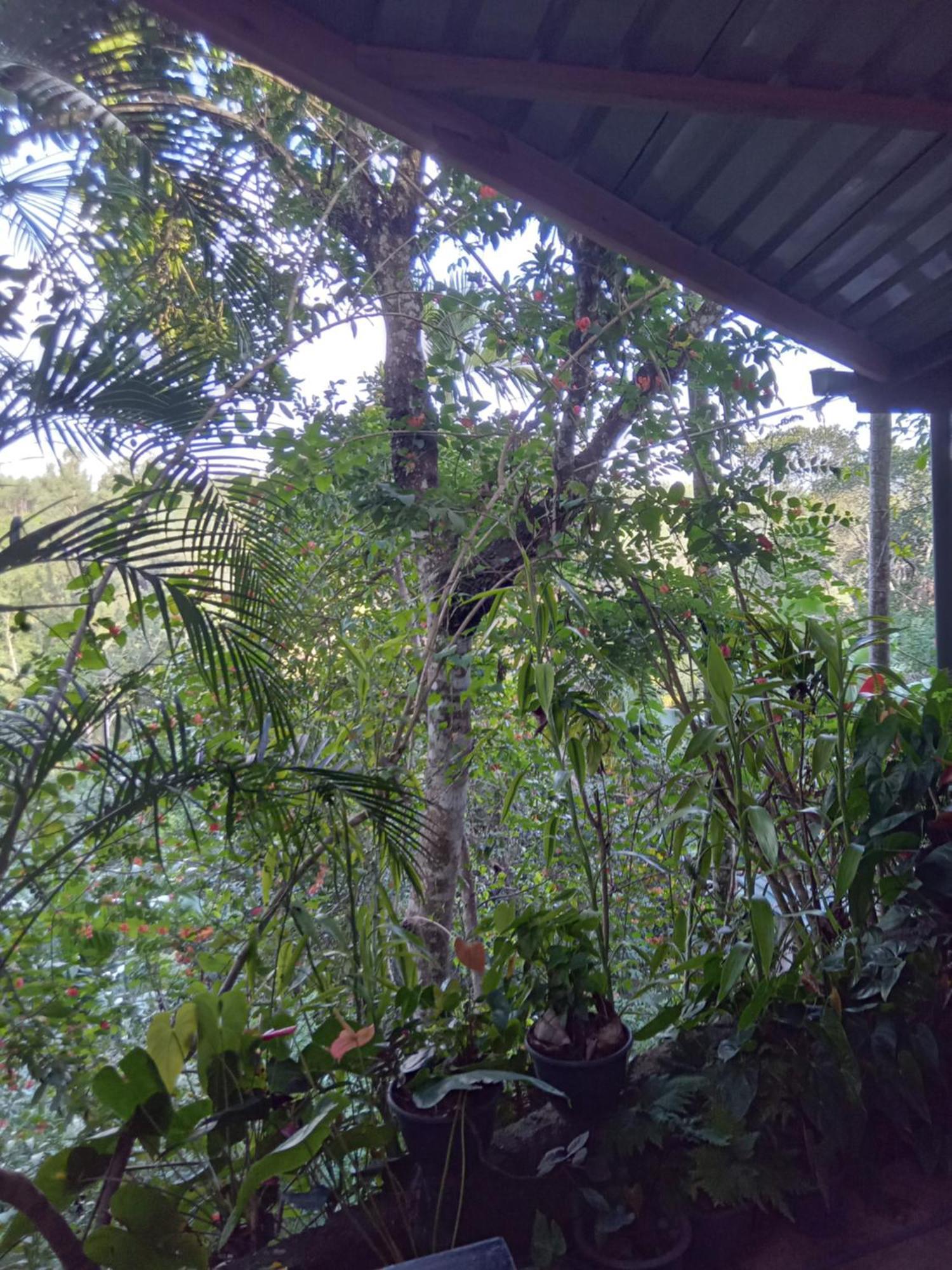 Aroma Heaven Homestay Ella Extérieur photo