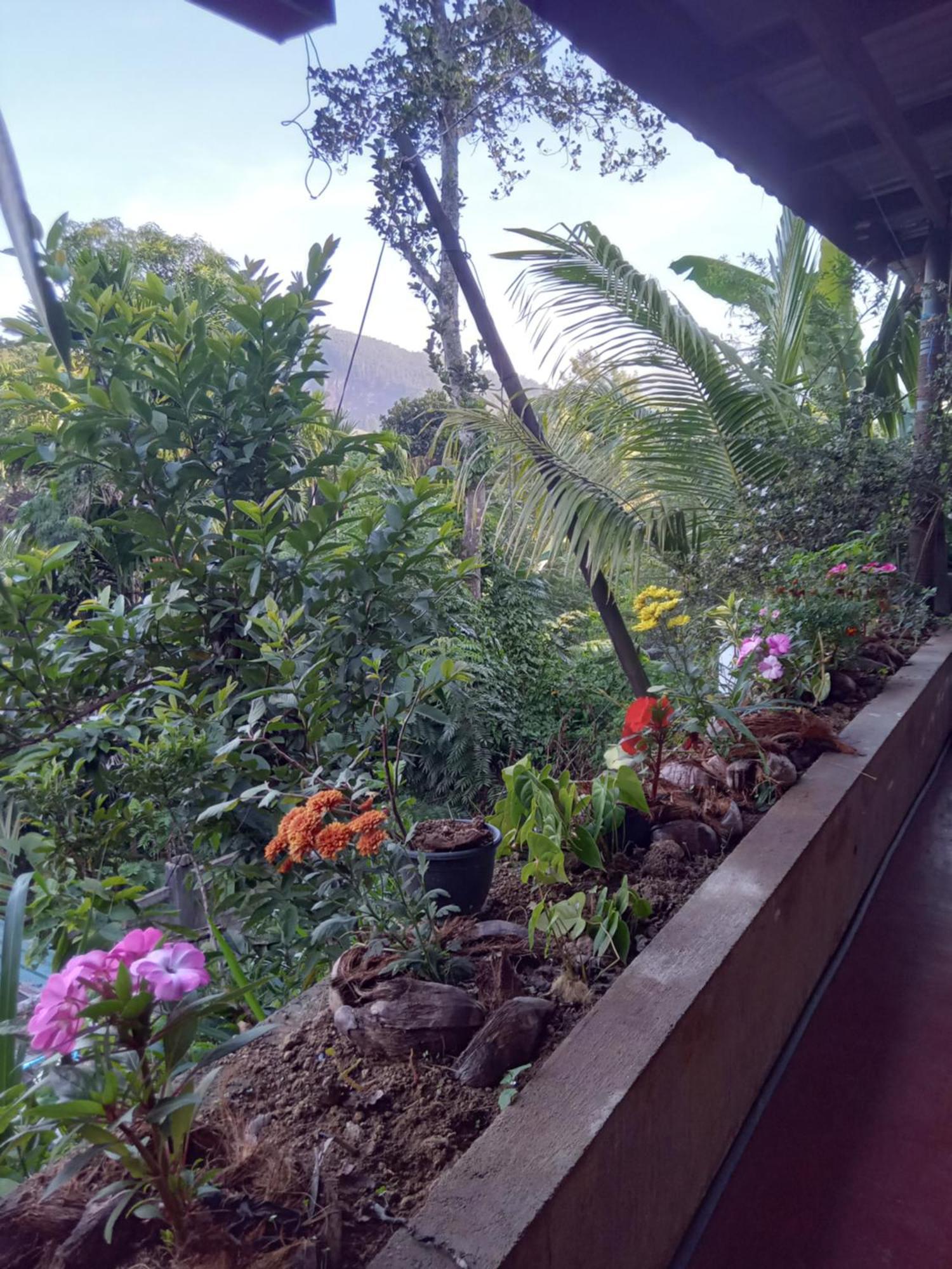 Aroma Heaven Homestay Ella Extérieur photo