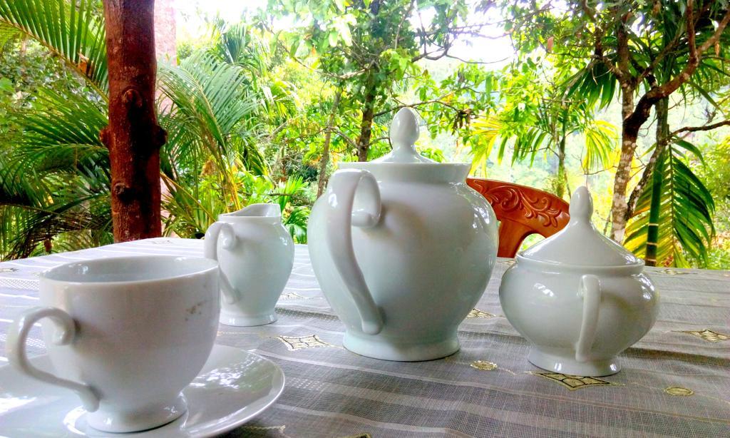 Aroma Heaven Homestay Ella Extérieur photo