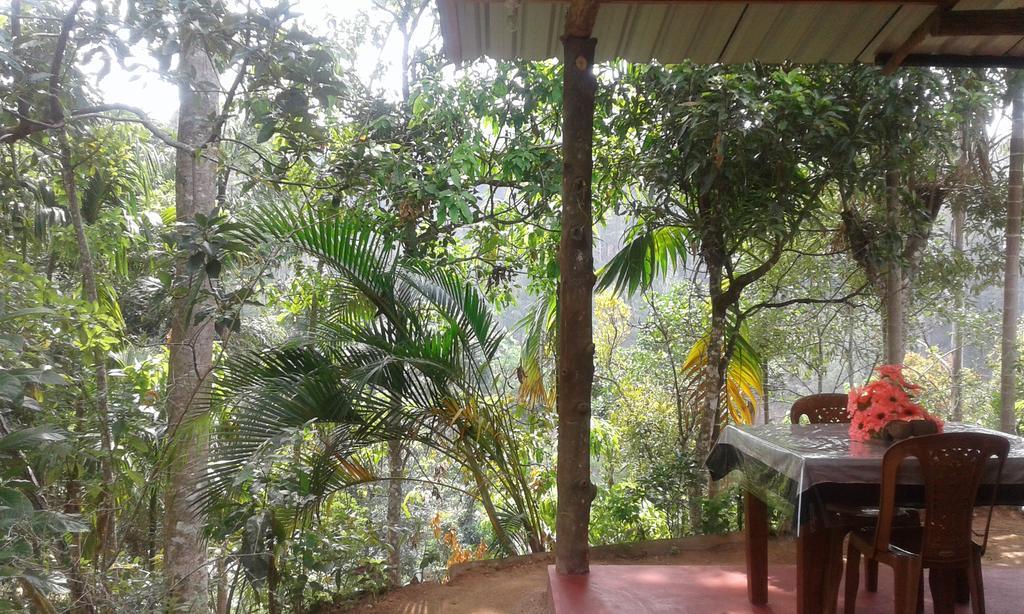 Aroma Heaven Homestay Ella Extérieur photo